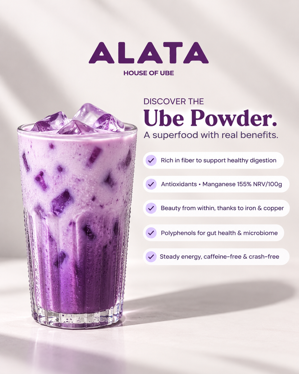 Ube Powder 100g