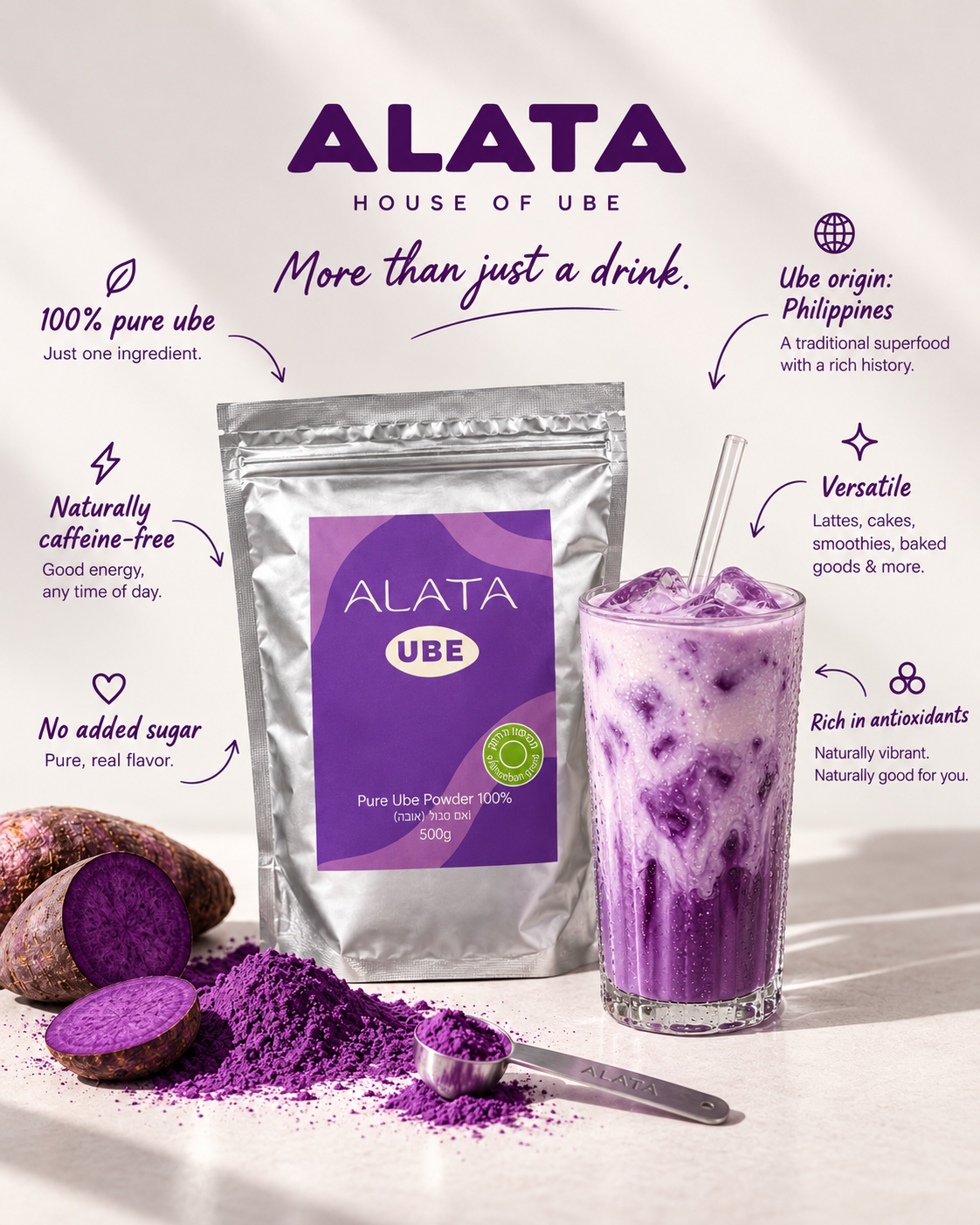 Ube Powder 500g